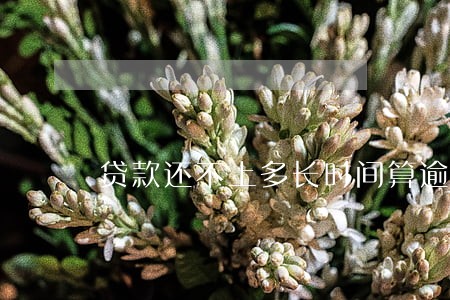 贷款还不上多长时间算逾期 贷款还不上多长时间算逾期