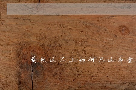 贷款还不上如何只还本金