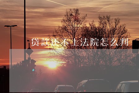 贷款还不上法院怎么判 贷款还不上法院怎么判