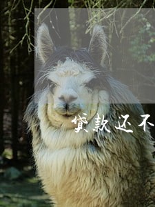贷款还不起了能只还本金吗 贷款还不起了能只还本金吗