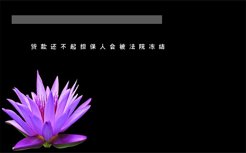贷款还不起担保人会被法院冻结