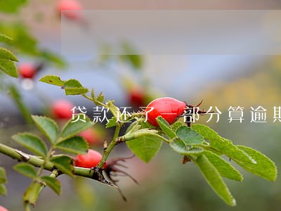 贷款还了一部分算逾期吗 贷款还了一部分算逾期吗