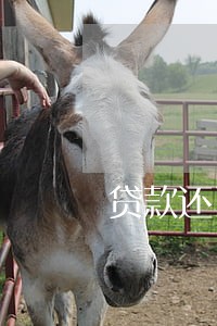 贷款还了后有逾期记录 贷款还了后有逾期记录