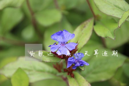贷款还利息几天算逾期 贷款还利息几天算逾期