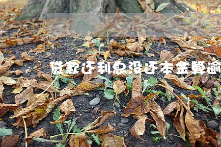 贷款还利息没还本金算逾期吗