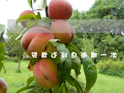 贷款还利息逾期一次 贷款还利息逾期一次