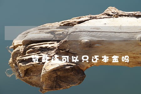 贷款还可以只还本金吗 贷款还可以只还本金吗