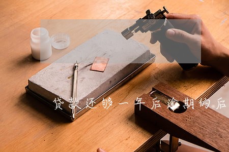 贷款还够一年后逾期的后果 贷款还够一年后逾期的后果