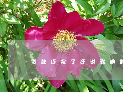 贷款还完了还说我逾期 贷款还完了还说我逾期