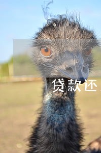 贷款还息逾期一天 贷款还息逾期一天