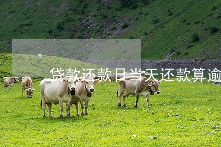 贷款还款日当天还款算逾期