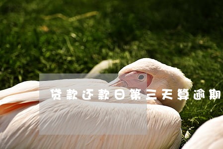 贷款还款日第三天算逾期 贷款还款日第三天算逾期