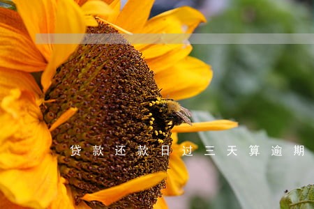 贷款还款日过三天算逾期吗 贷款还款日过三天算逾期吗