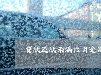 贷款还款未满六月逾期 贷款还款未满六月逾期
