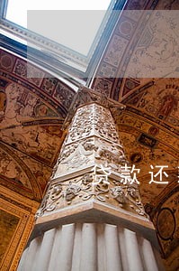 贷款还款计划可以只还本金吗 贷款还款计划可以只还本金吗
