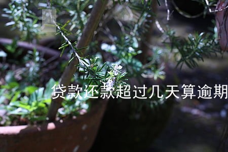 贷款还款超过几天算逾期吗