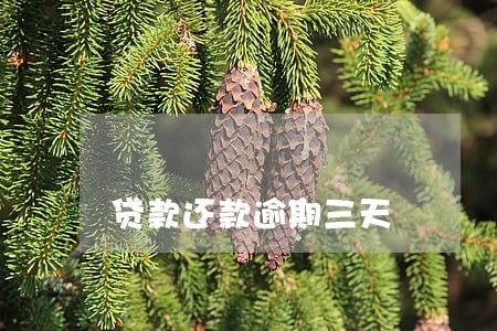 贷款还款逾期三天 贷款还款逾期三天