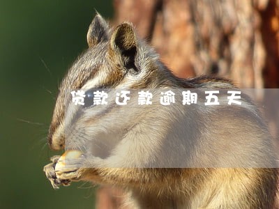 贷款还款逾期五天 贷款还款逾期五天