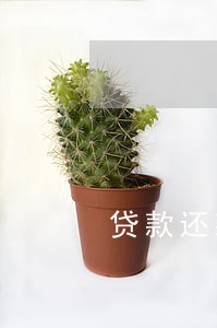 贷款还款逾期信用记录 贷款还款逾期信用记录