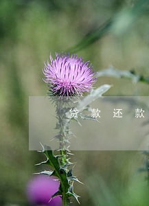 贷款还款逾期发来传票 贷款还款逾期发来传票