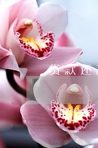 贷款还款逾期多久造成征信 贷款还款逾期多久造成征信
