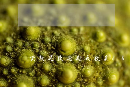 贷款还款逾期天数负28天 贷款还款逾期天数负28天