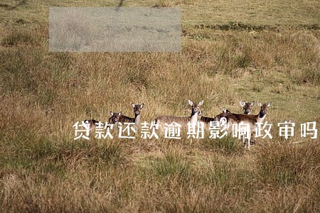 贷款还款逾期影响政审吗 贷款还款逾期影响政审吗