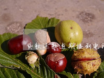 贷款还款逾期接到电话