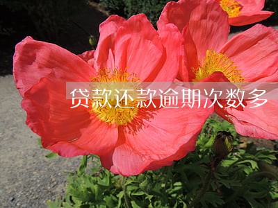 贷款还款逾期次数多 贷款还款逾期次数多