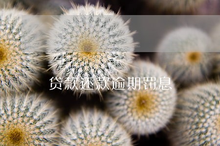 贷款还款逾期罚息 贷款还款逾期罚息