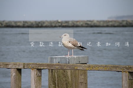 贷款还款逾期记录如何消除 贷款还款逾期记录如何消除