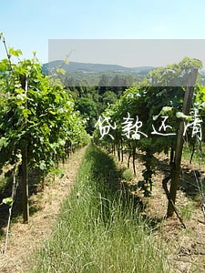 贷款还清逾期记录怎么消除 贷款还清逾期记录怎么消除