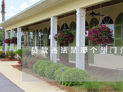 贷款违法是那个部门介入 贷款违法是那个部门介入