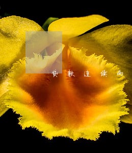 贷款连续两期逾期会被起诉吗 贷款连续两期逾期会被起诉吗