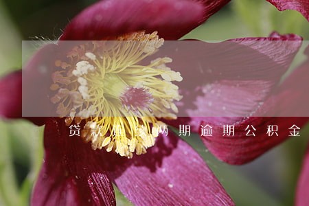 贷款连续两期逾期公积金贷款 贷款连续两期逾期公积金贷款