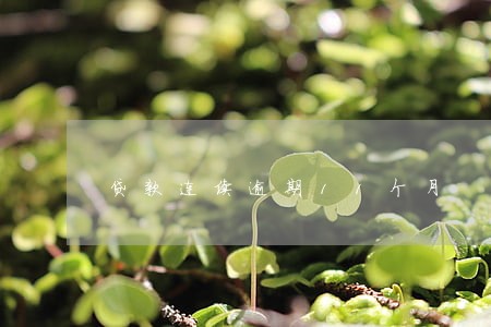 贷款连续逾期11个月 贷款连续逾期11个月