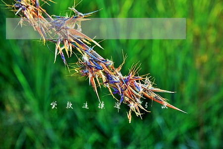贷款连续逾期5次