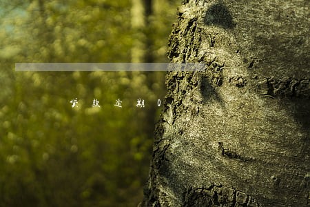 贷款逾期0