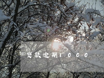 贷款逾期1000 贷款逾期1000