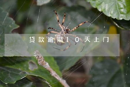 贷款逾期10天上门 贷款逾期10天上门