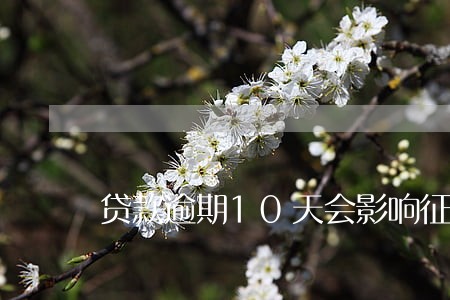贷款逾期10天会影响征信吗 贷款逾期10天会影响征信吗
