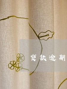 贷款逾期10天说上门收款 贷款逾期10天说上门收款