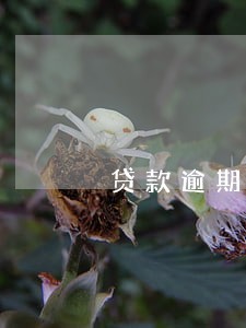 贷款逾期10天还了 贷款逾期10天还了