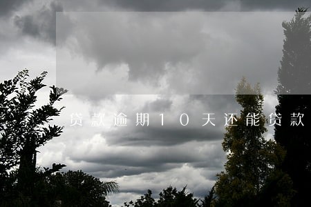 贷款逾期10天还能贷款买房吗 贷款逾期10天还能贷款买房吗