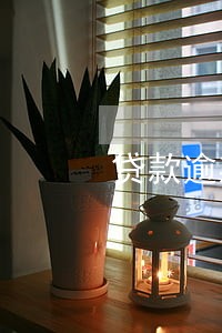贷款逾期10年未起诉 贷款逾期10年未起诉