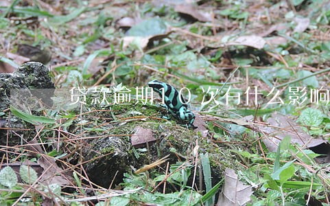 贷款逾期10次有什么影响 贷款逾期10次有什么影响