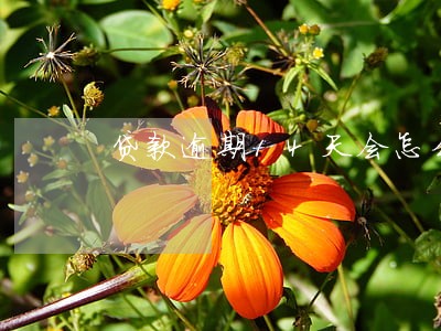 贷款逾期14天会怎么样 贷款逾期14天会怎么样