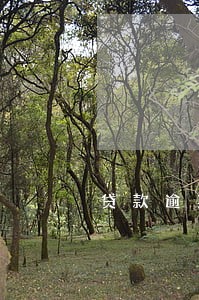 贷款逾期15天怎么办征信 贷款逾期15天怎么办征信