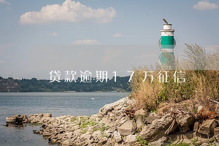 贷款逾期17万征信 贷款逾期17万征信
