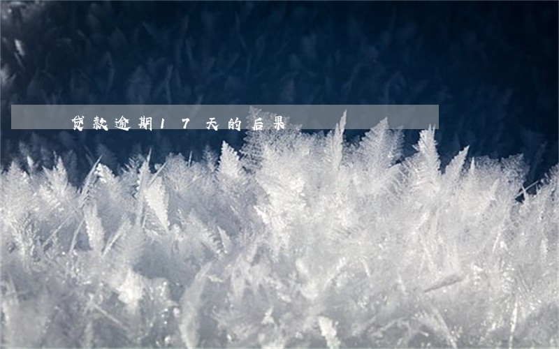 贷款逾期17天的后果 贷款逾期17天的后果